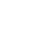 Twitter Icon